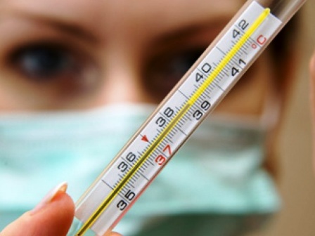 В Курской области зарегистрированы первые случаи гриппа